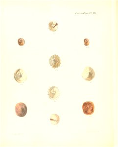 n493_w1150