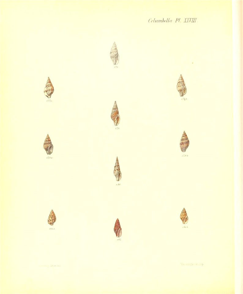 n357_w1150