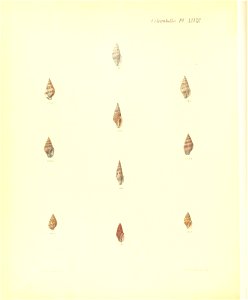 n357_w1150