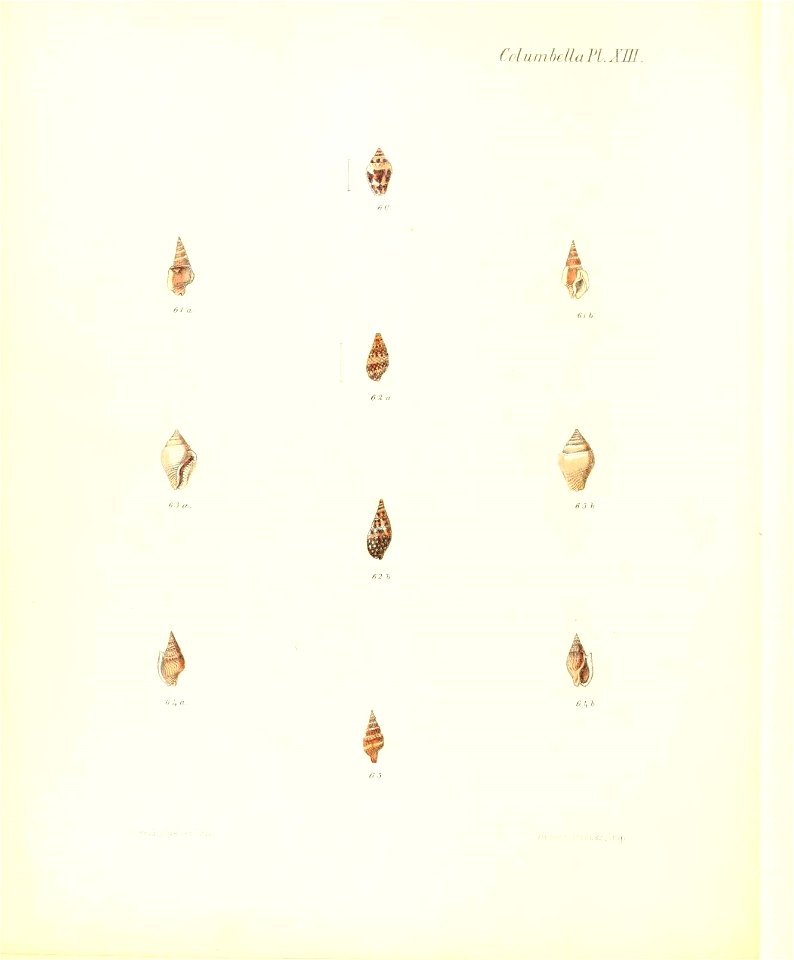 n297_w1150