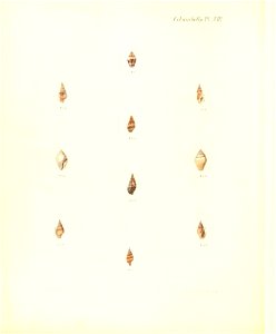 n297_w1150