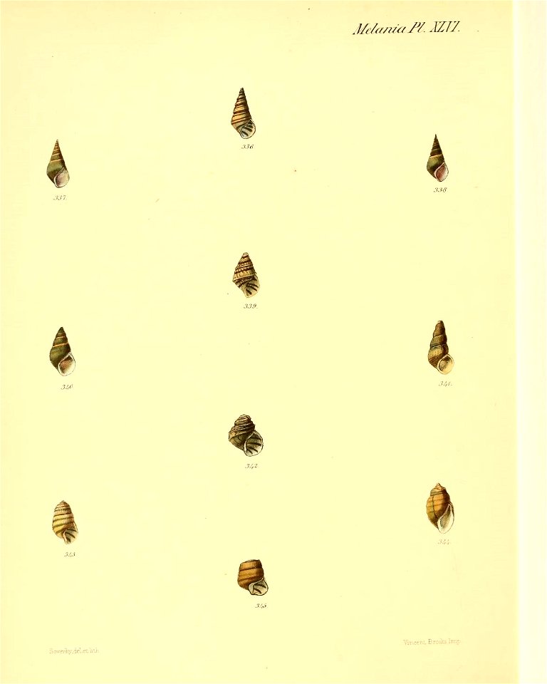 n383_w1150