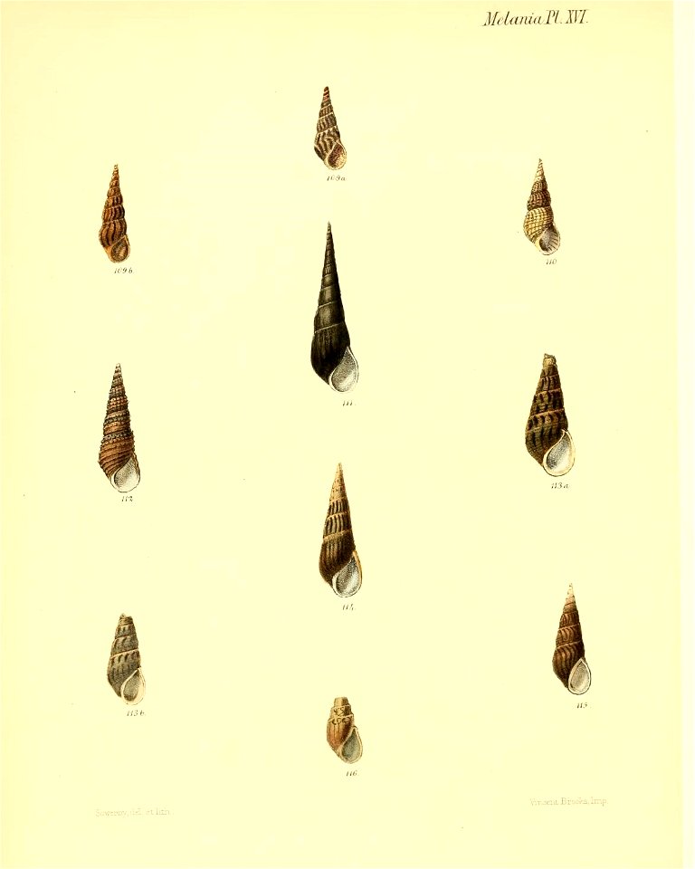 n263_w1150