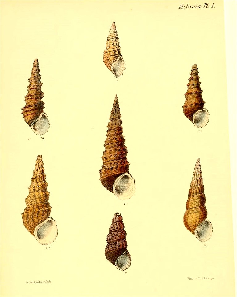n203_w1150