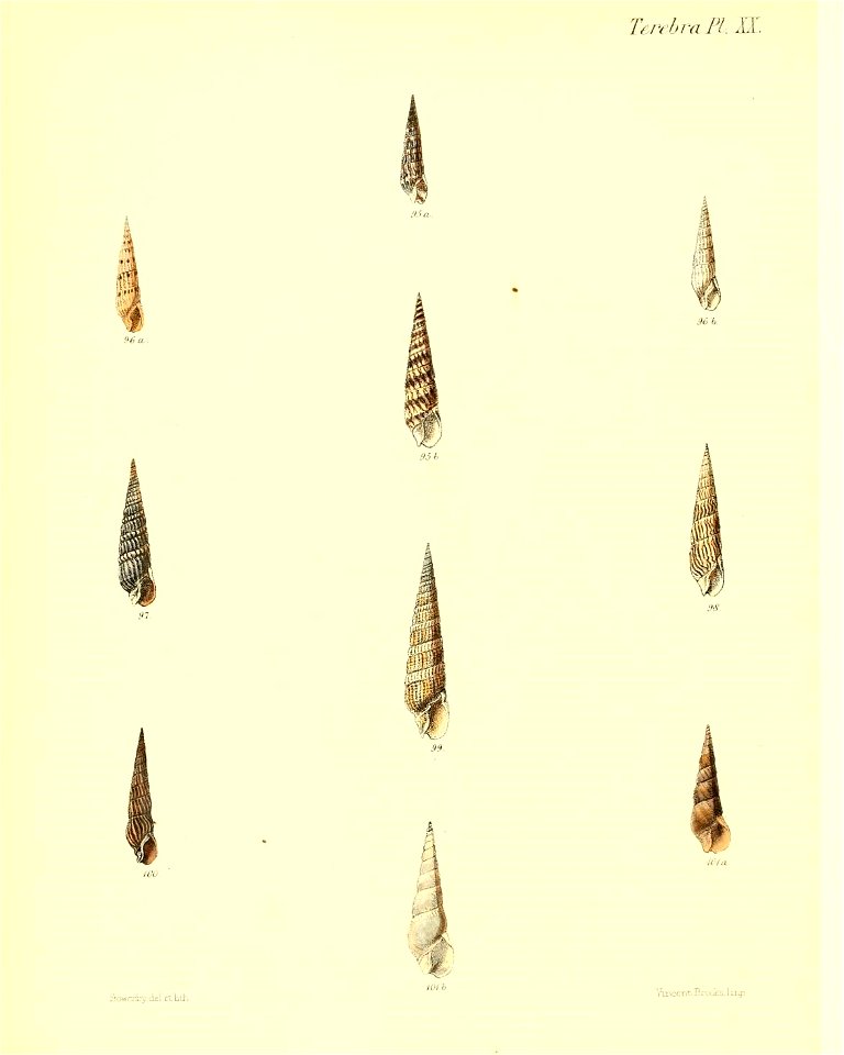 n131_w1150