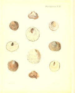 n559_w1150