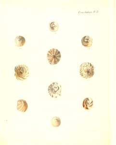 n489_w1150