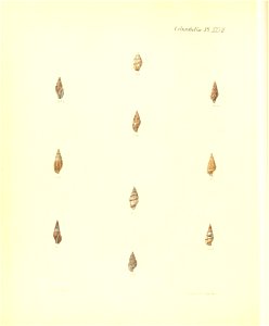 n353_w1150
