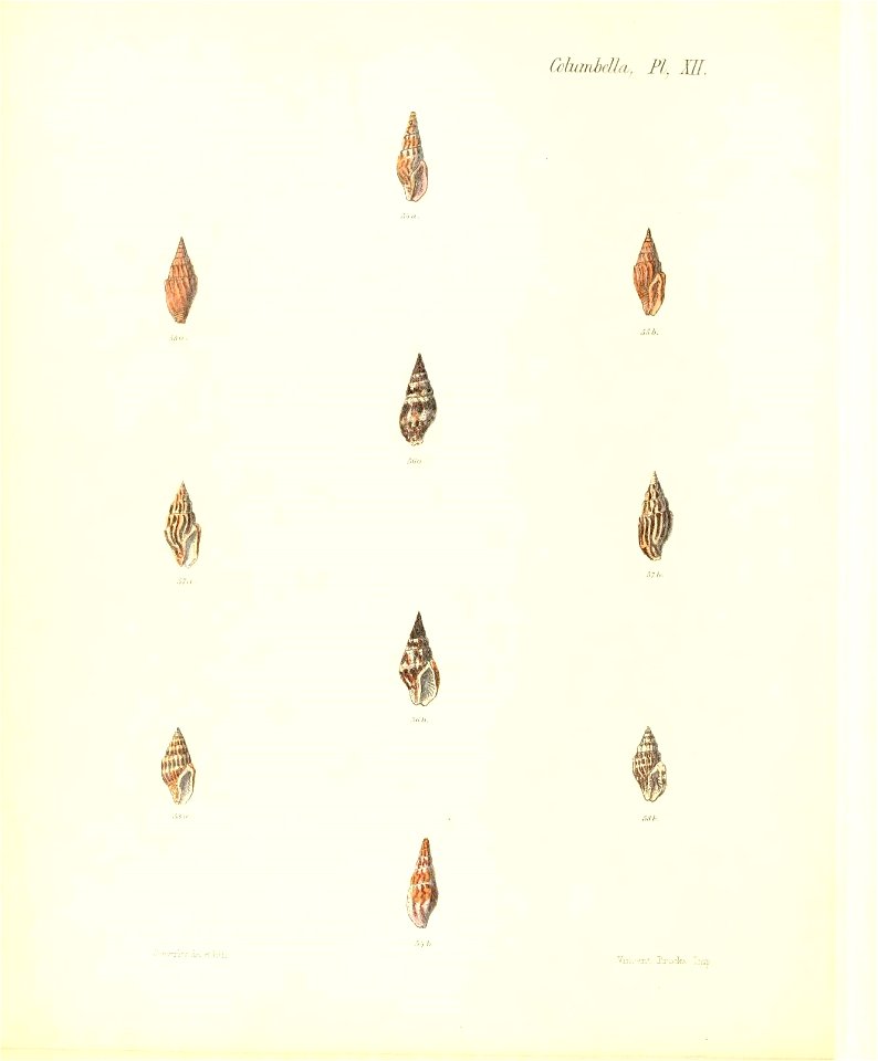 n293_w1150