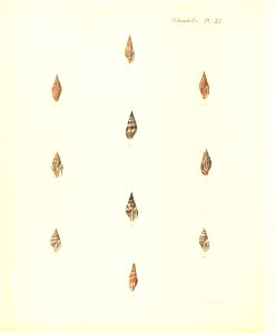 n293_w1150