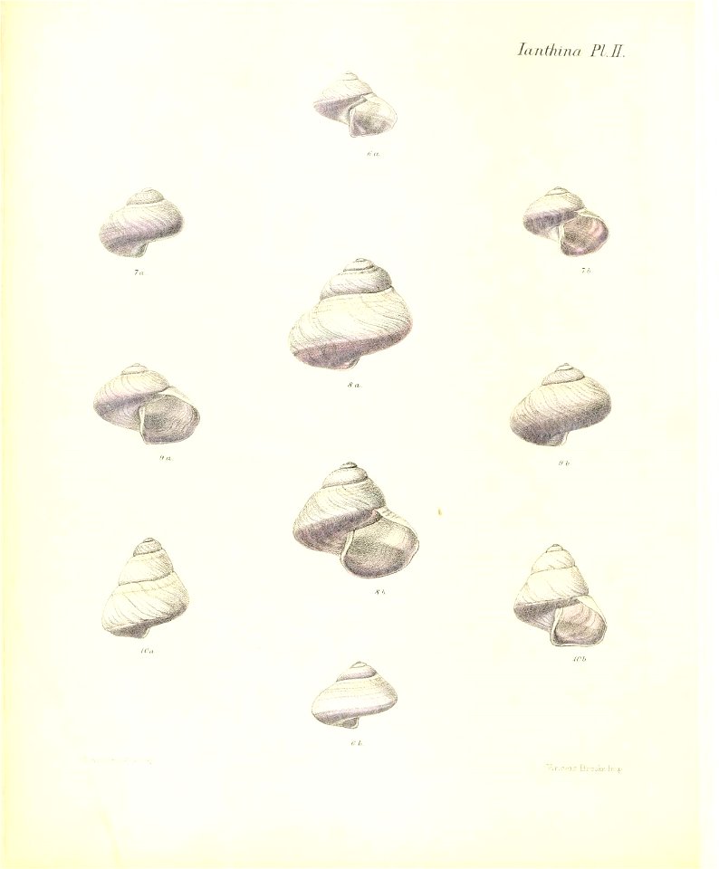 n229_w1150