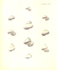 n229_w1150