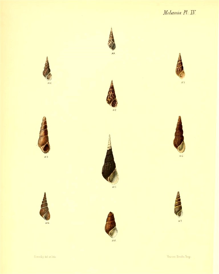 n259_w1150