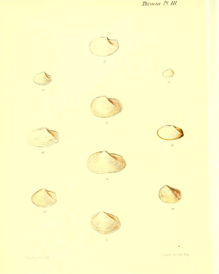 n195_w1150