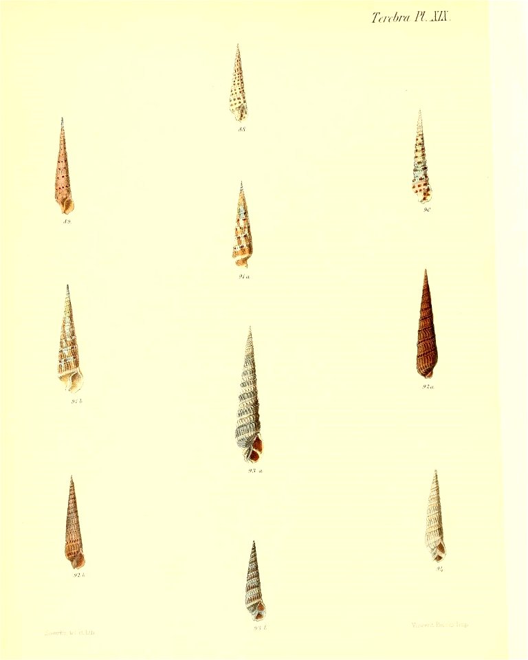 n127_w1150
