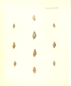 n349_w1150