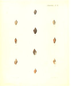 n289_w1150