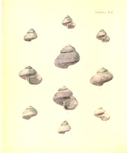 n225_w1150