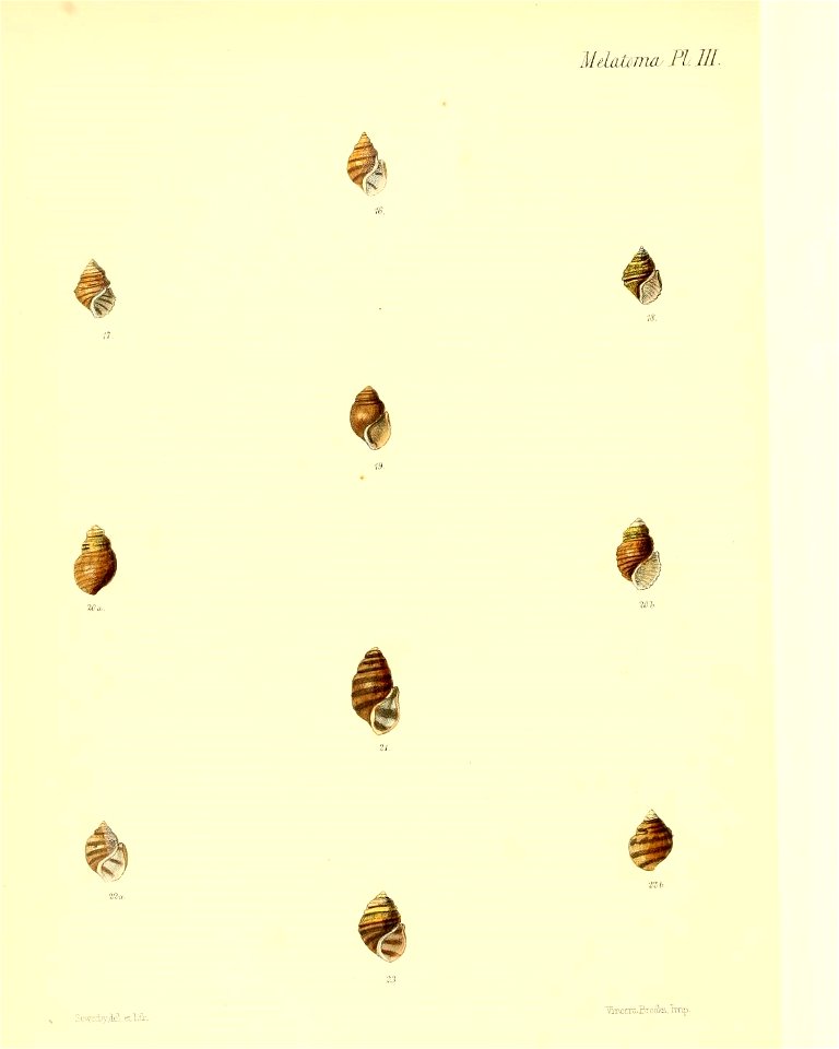 n511_w1150
