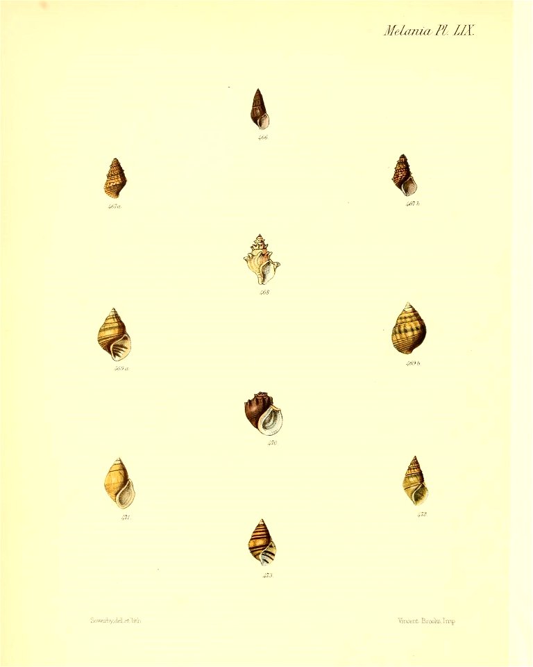 n435_w1150