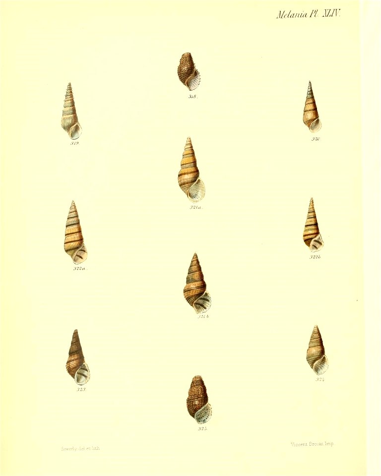 n375_w1150