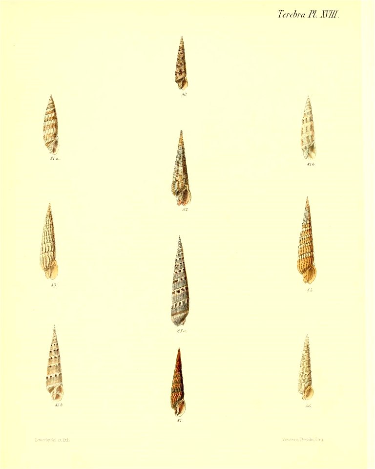n123_w1150