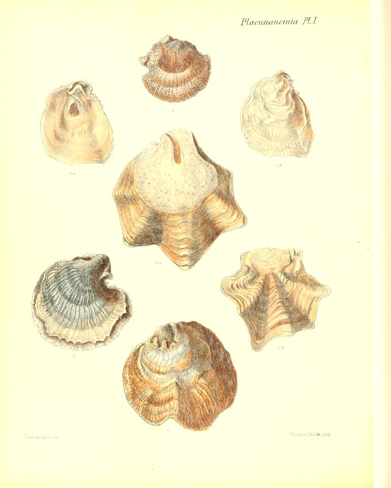 n551_w1150