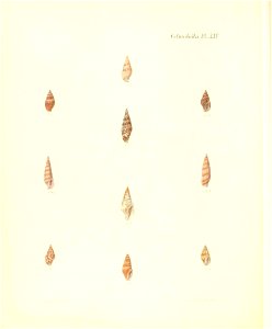 n345_w1150