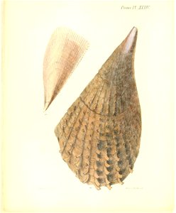 n143_w1150