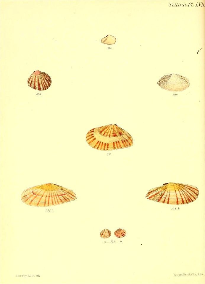 n387_w1150