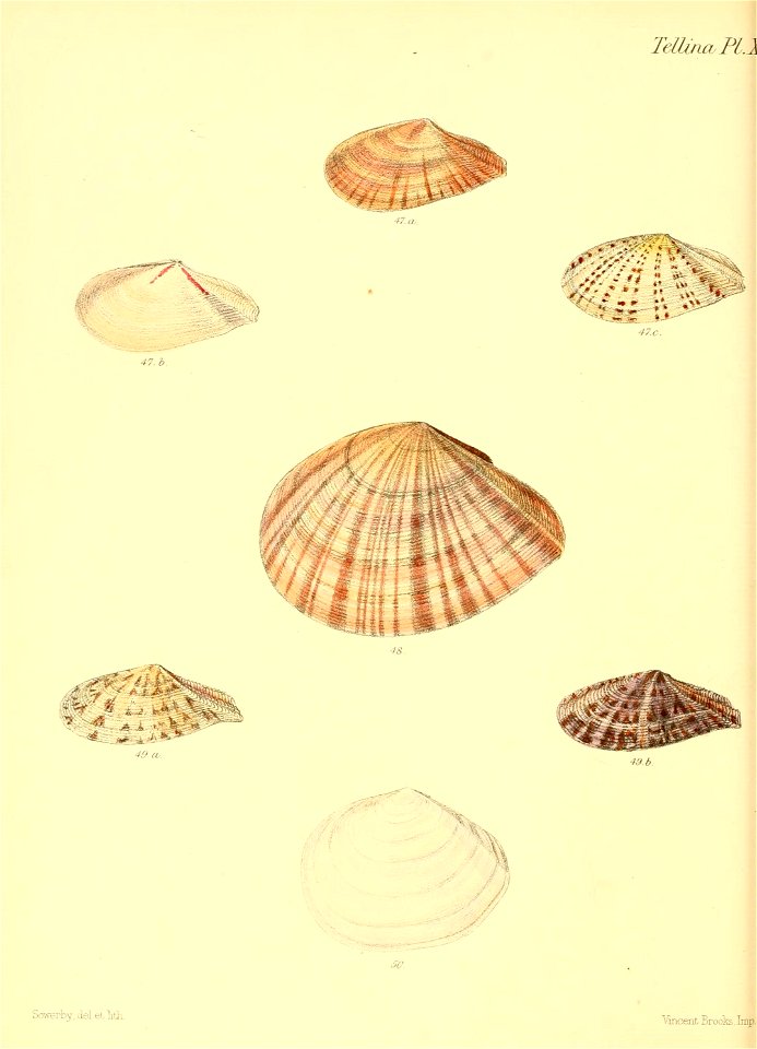 n203_w1150