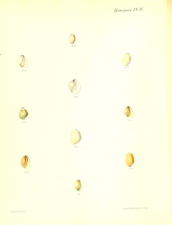 n481_w1150