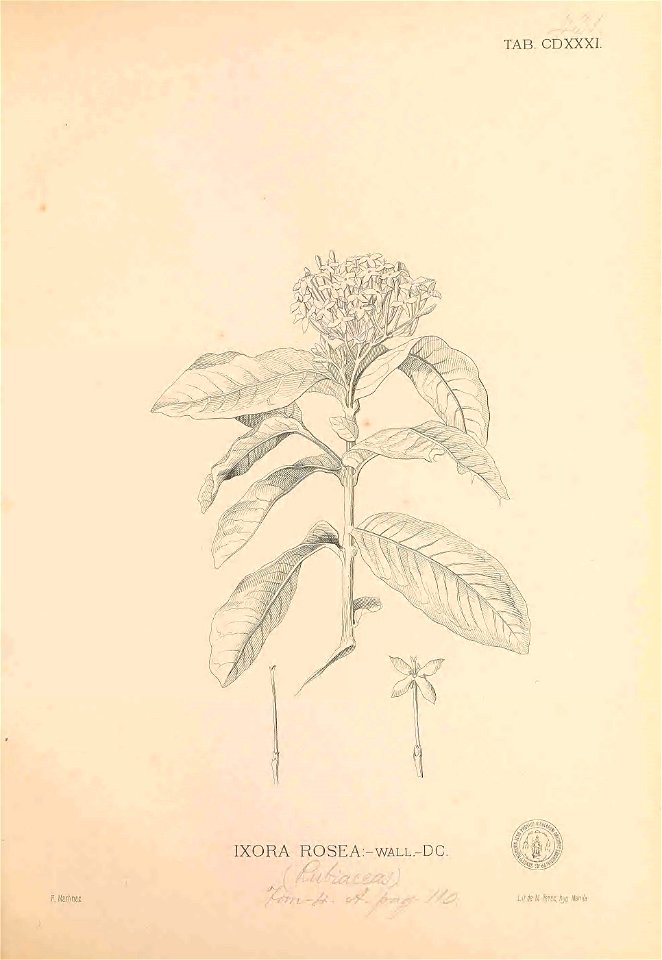 n412_w1150
