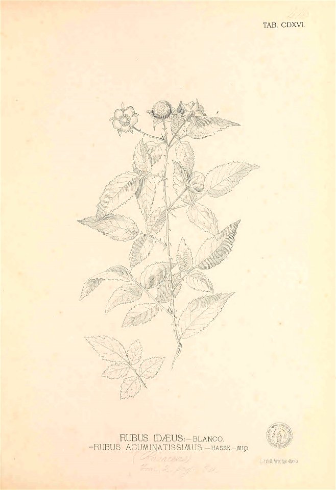 n382_w1150