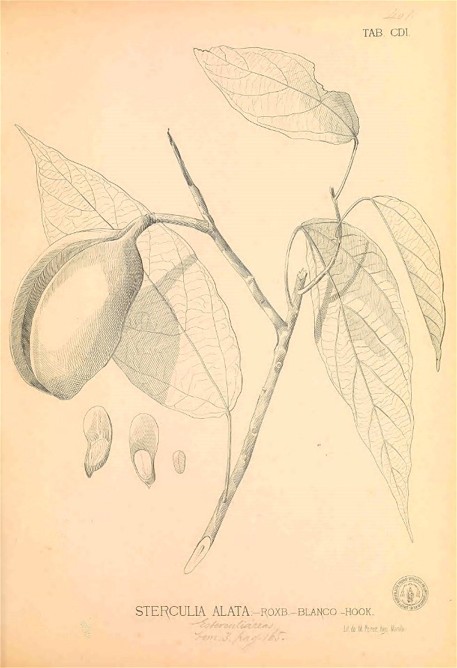 n352_w1150