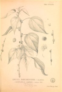 n292_w1150