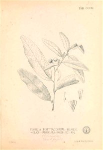 n172_w1150