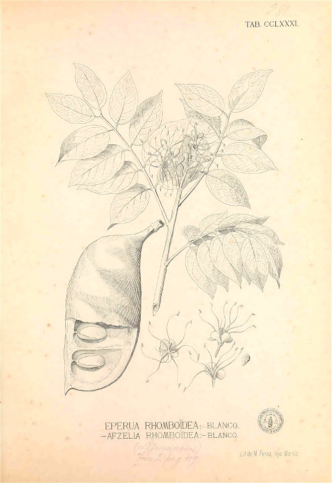 n112_w1150