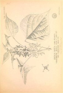 n320_w1150