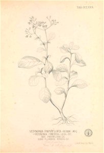 n110_w1150