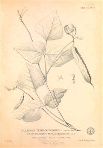 n136_w1150