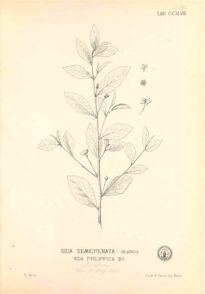 n46_w1150