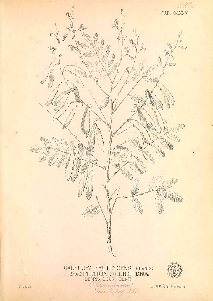 n14_w1150