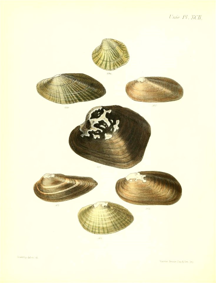 n375_w1150