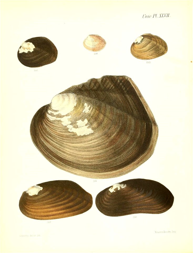 n195_w1150