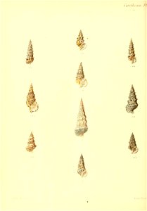 n349_w1150