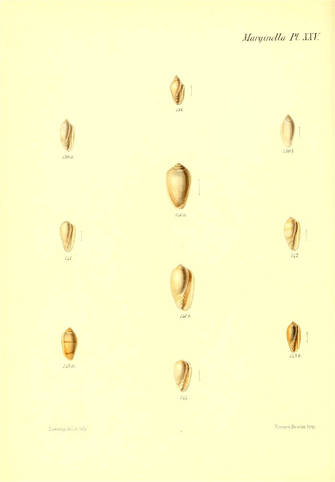 n147_w1150