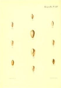 n147_w1150