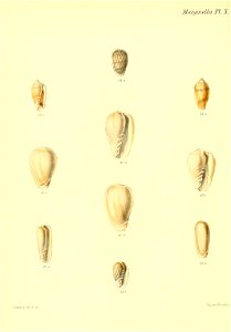 n87_w1150