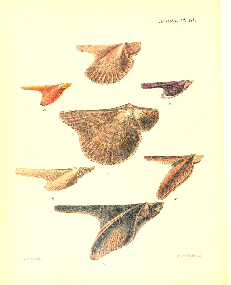 n537_w1150